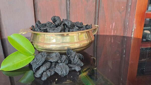 kudampuli